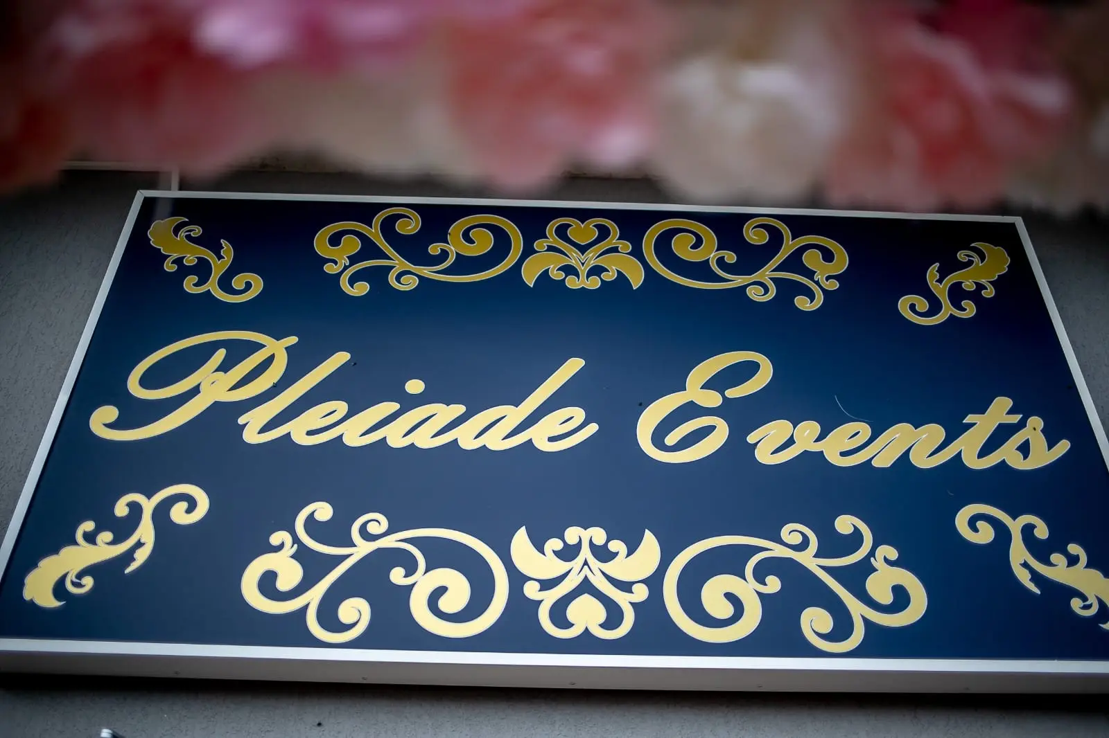 Firma bleumarin cu numele Pleiade Events scris cu auriu și ornamente, în lumină difuză. Deasupra, flori roz și albe, neclare.