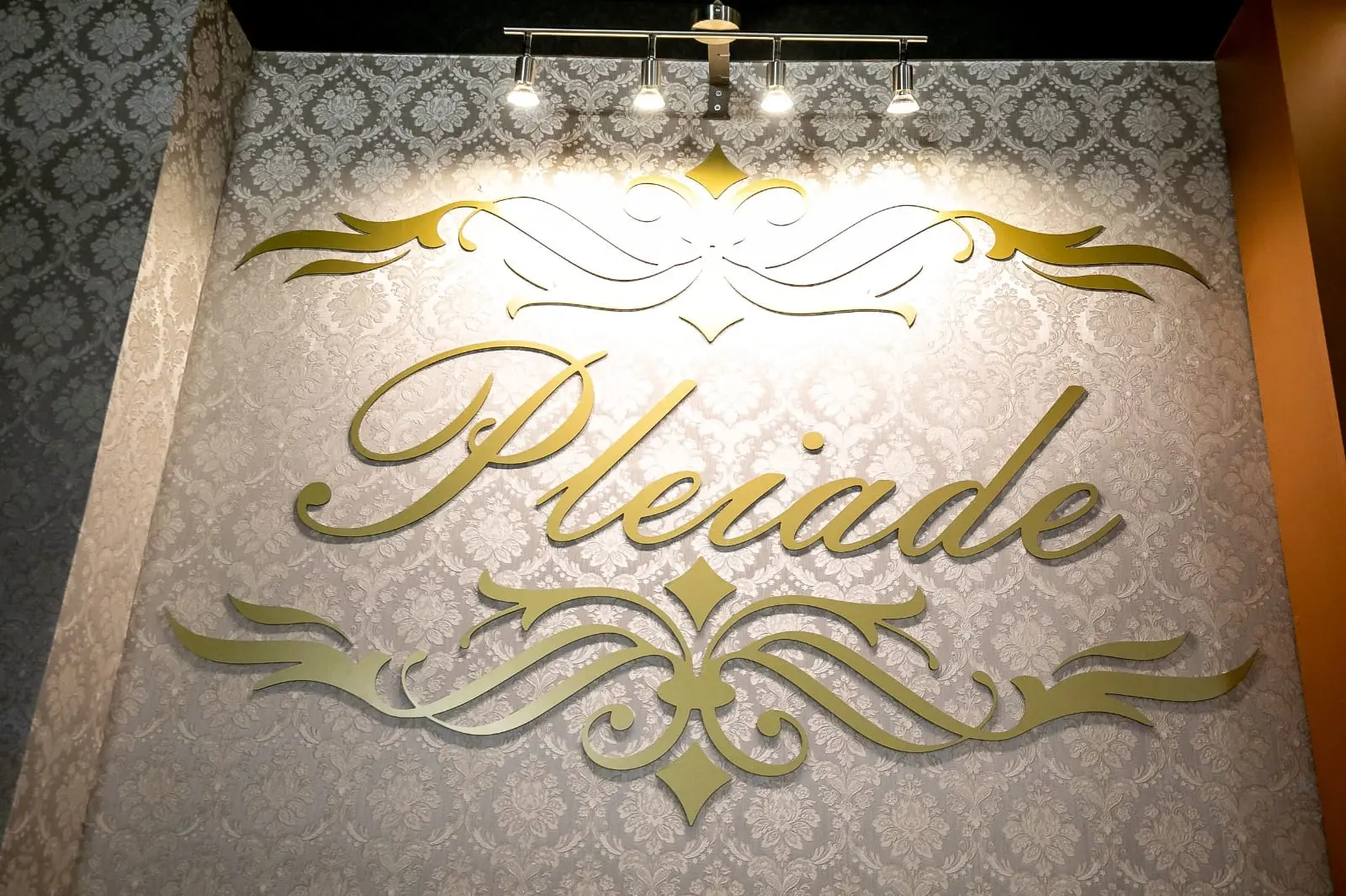 Logoul Pleiade auriu, în relief, pe peretele cu tapet alb damascat, luminat de patru spoturi.